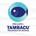 PROJETO TAMBACU