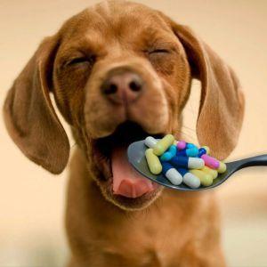 MEDICAMENTOS