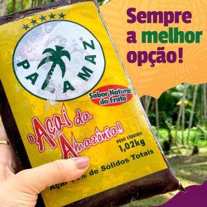 POLPA DE AÇAÍ