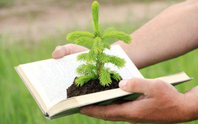 LICENCIAMENTO AMBIENTAL