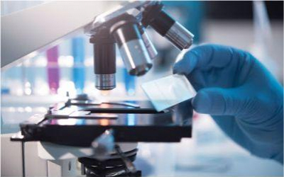 Laboratório